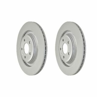 Rear Geomet Coated Anti Rust Brake Rotor Set of 2