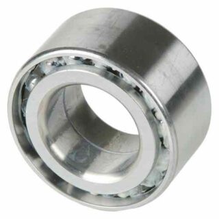 Rear Wheel Bearing