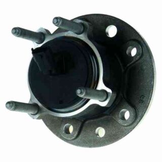 Rear Wheel Bearing and Hub Assembly