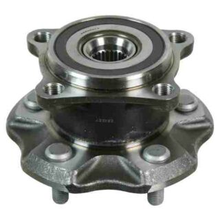 Rear Wheel Bearing and Hub Assembly