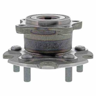 Rear Wheel Bearing and Hub Assembly