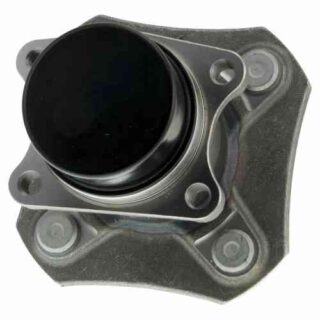 Rear Wheel Bearing and Hub Assembly