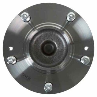 Rear Wheel Bearing and Hub Assembly