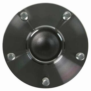 Rear Wheel Bearing and Hub Assembly