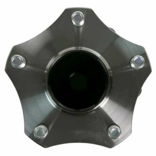 Rear Wheel Bearing and Hub Assembly
