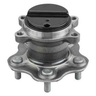 Rear Wheel Bearing and Hub Assembly