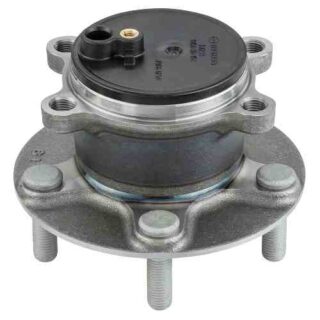 Rear Wheel Bearing and Hub Assembly