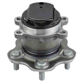 Rear Wheel Bearing and Hub Assembly