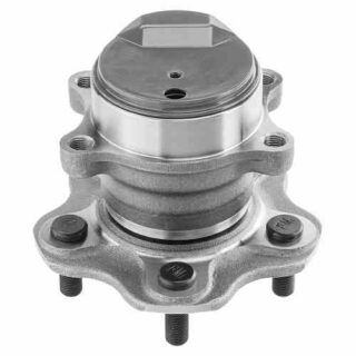 Rear Wheel Bearing and Hub Assembly