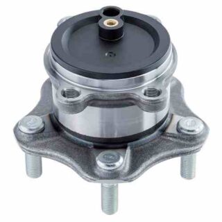 Rear Wheel Bearing and Hub Assembly