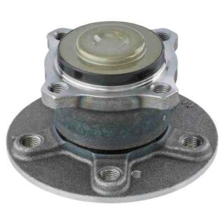 Rear Wheel Bearing and Hub Assembly