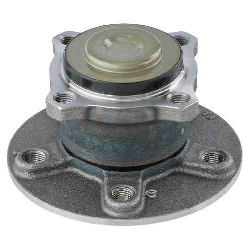Rear Wheel Bearing and Hub Assembly