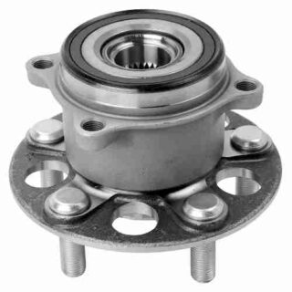 Rear Wheel Bearing and Hub Assembly