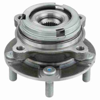 Rear Wheel Bearing and Hub Assembly