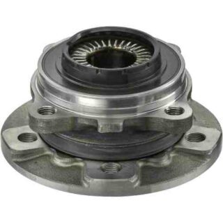 Rear Wheel Bearing and Hub Assembly
