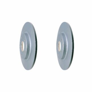 Rear Geomet Coated Anti Rust Brake Rotor Set of 2