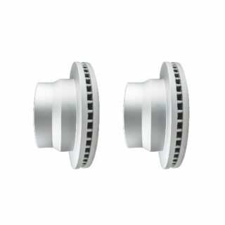 Rear Geomet Coated Anti Rust Brake Rotor Set of 2