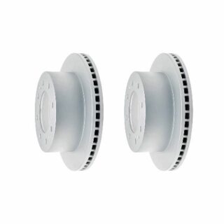 Rear Geomet Coated Anti Rust Brake Rotor Set of 2