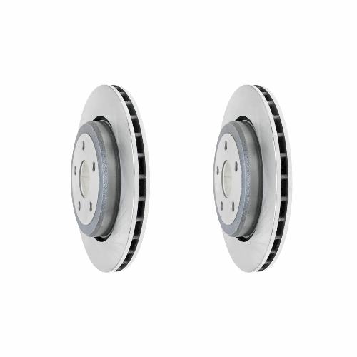 Rear Standard Brake Rotor Set of 2
