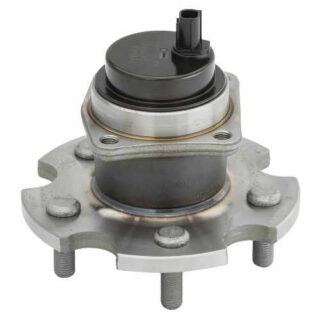 Rear Wheel Bearing and Hub Assembly