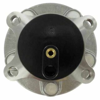 Rear Wheel Bearing and Hub Assembly