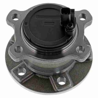 Rear Wheel Bearing and Hub Assembly