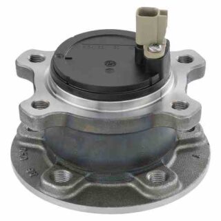 Rear Wheel Bearing and Hub Assembly