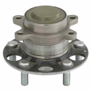 Rear Wheel Bearing and Hub Assembly
