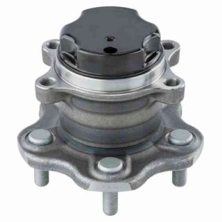 Rear Wheel Bearing and Hub Assembly
