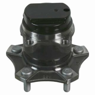 Rear Wheel Bearing and Hub Assembly