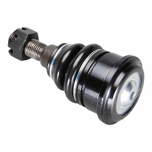Rear Lower Suspension Ball Joint