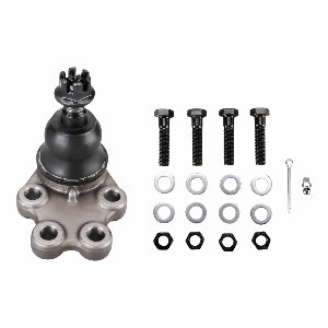 Front Lower Suspension Ball Joint