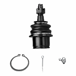 Front Lower Suspension Ball Joint