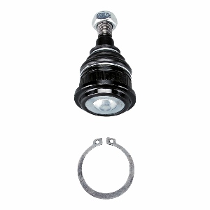 Front Lower Suspension Ball Joint
