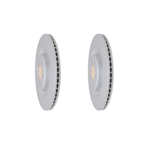 Rear Geomet Coated Anti Rust Brake Rotor Set of 2