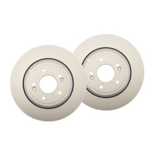 Rear Geomet Coated Anti Rust Brake Rotor Set of 2